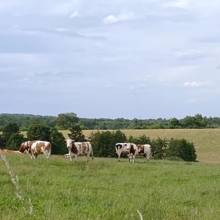 Holiday home Maison De Campagne